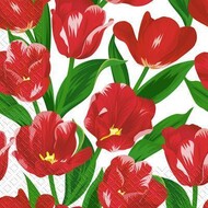 Салфетки 33х33 \"Красные тюльпаны\" МАРГО * 15/39